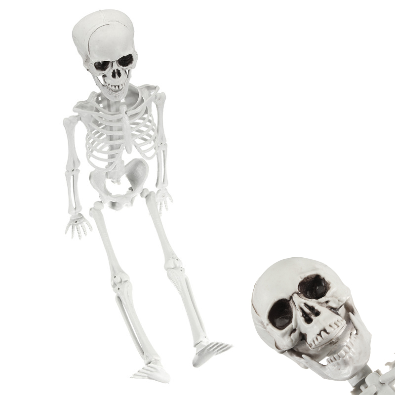 

Adult Skull Skeleton Horror Haunted House Simulation Human Body Decoration Halloween Supplies Toys