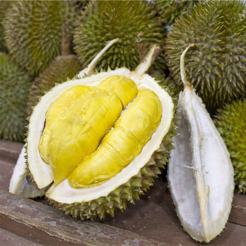 

Egrow 5Pcs/Bag Durian Tree Seeds Delicious King Of Fruit Seeds High-nutrition Giant Outdoor Rare Plants Funny Bonsai See