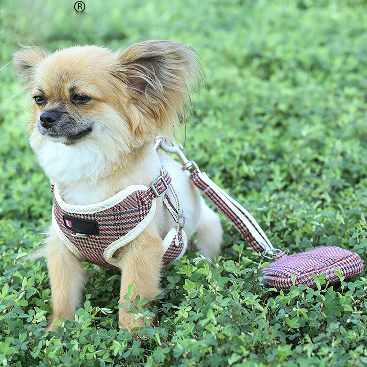 Puppy Harness Bunty Adjustable Soft Fabric Mesh Pet Dog 