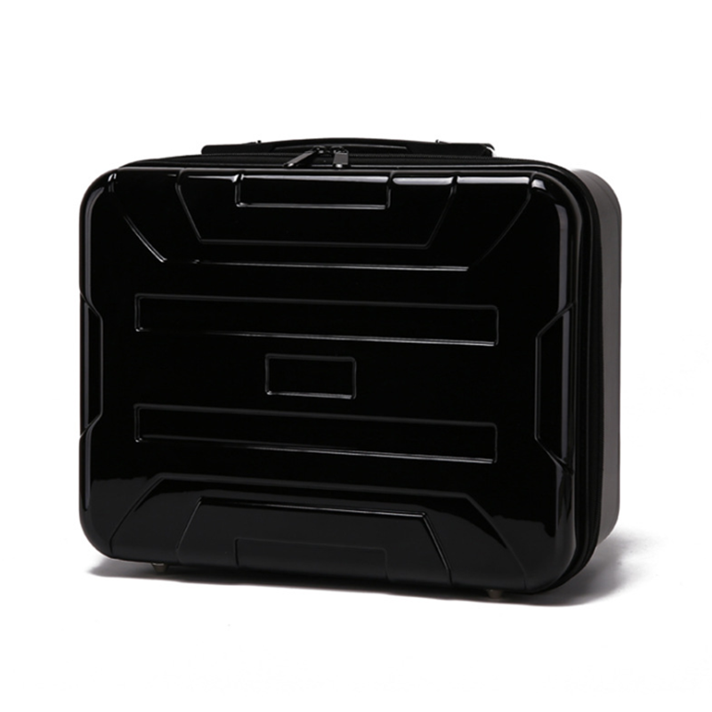 bugs 5w carry case