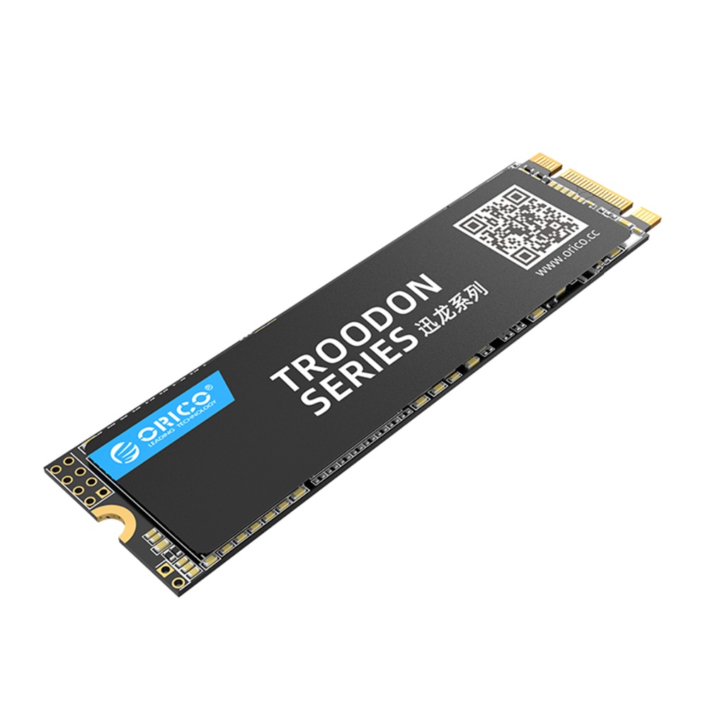 

ORICO TROODON N300 Series M.2 NGFF SATA 3.0 SSD Solid State Drive 3D NAND 128G 256G 512G 1T Hard Drive R/W at 560/516 MB/s