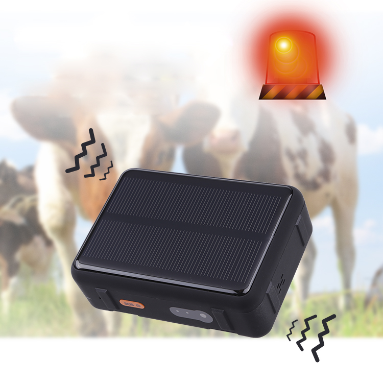 

V44 Solar Power 4G Pet Tracker WIFI GPS LBS Tracker IP67 Waterproof Cattle Sheep Kids Anti-Lost Tracker