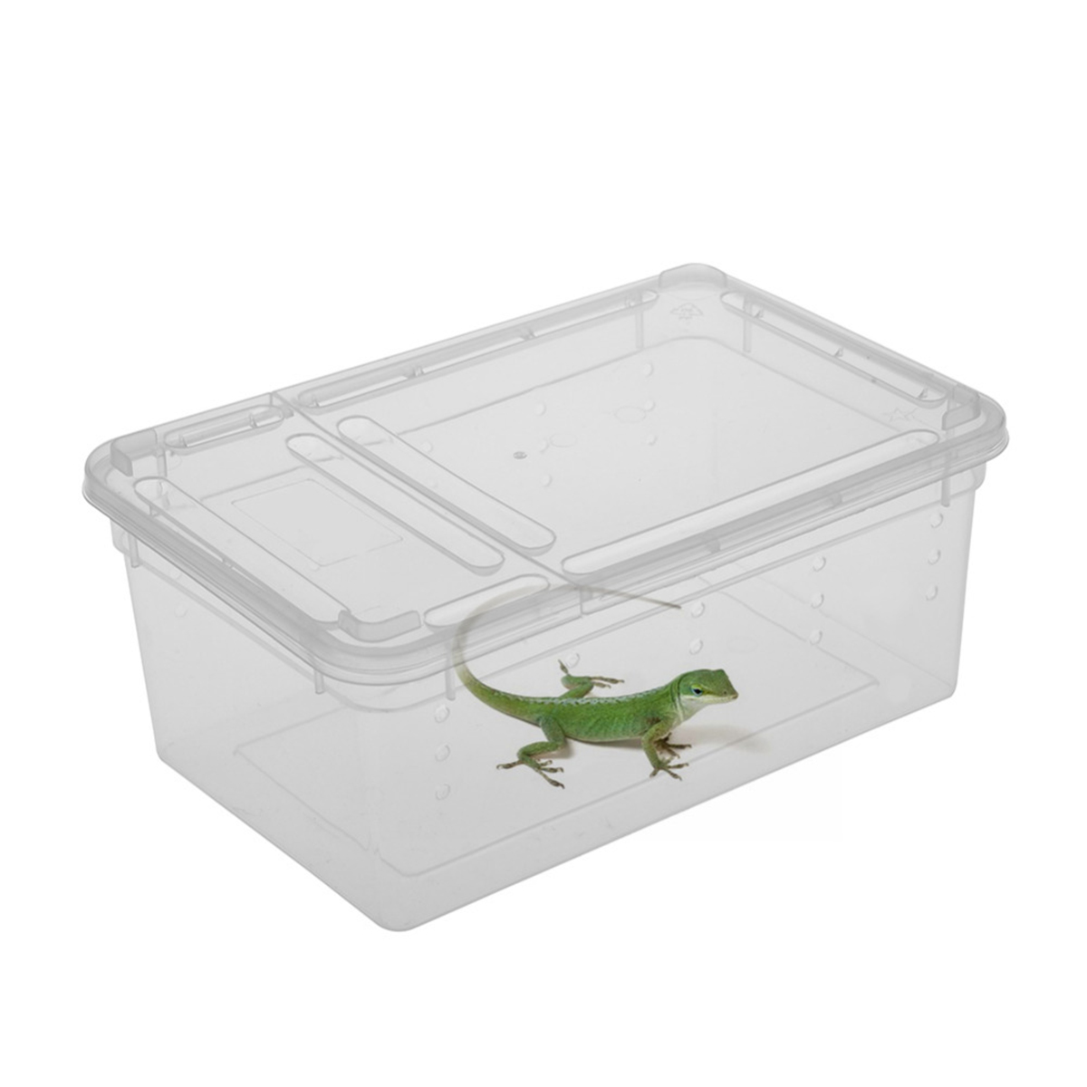 

Transparent Plastic Box Insect Reptile Transport Breeding Live Food Feeding Box Parts Storage Box