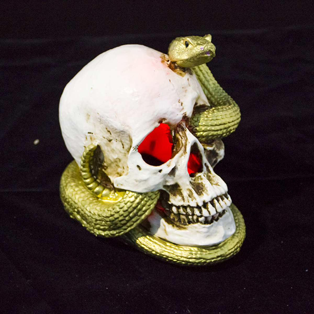 

Halloween Skeleton Snake Skull Head Figurine Statue for Halloween Party Decorations