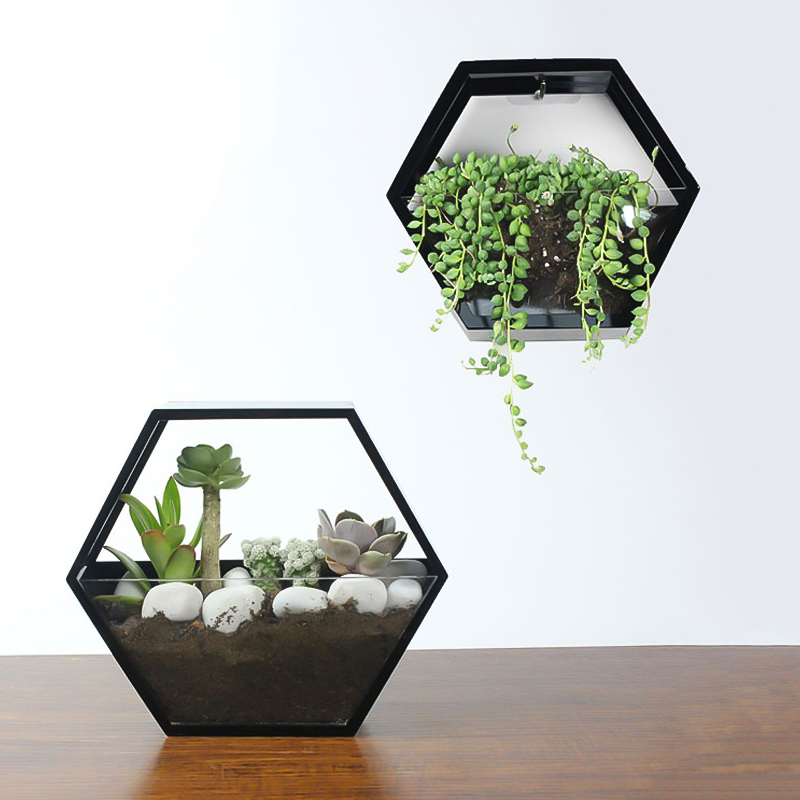 

Handmade Acrylic Chlorophytum Flower Pot Scindapsus Hexagon Hanging Wall Decoration