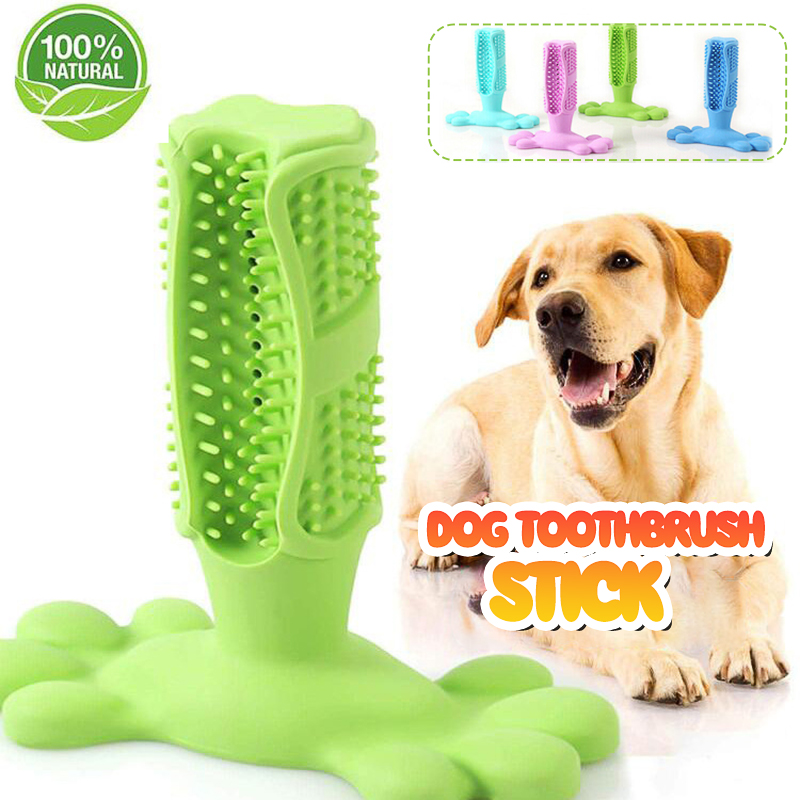 dog toothbrush stick