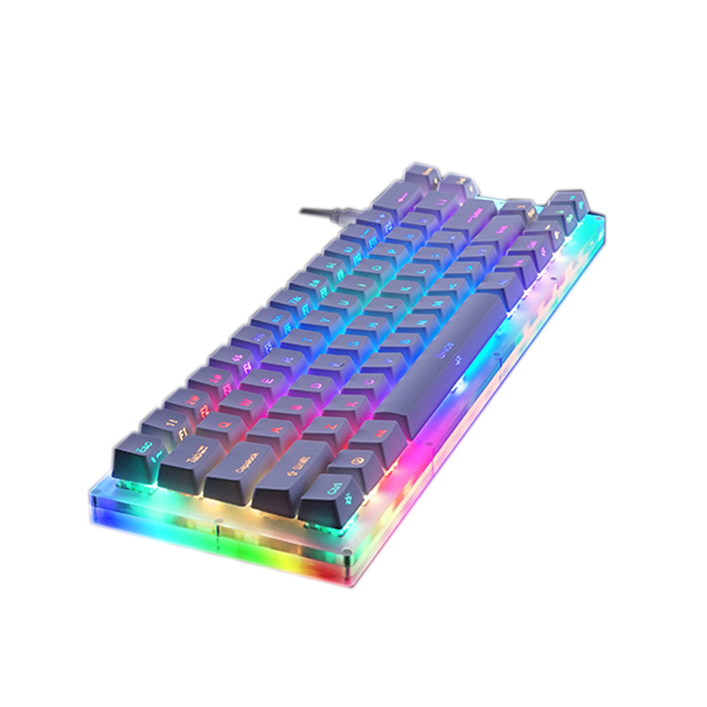 

GamaKay K66 66 Keys Mechanical Gaming Keyboard Tyce-C WiredRGB Backlit Gateron Switch Keyboard with Crystalline Base W
