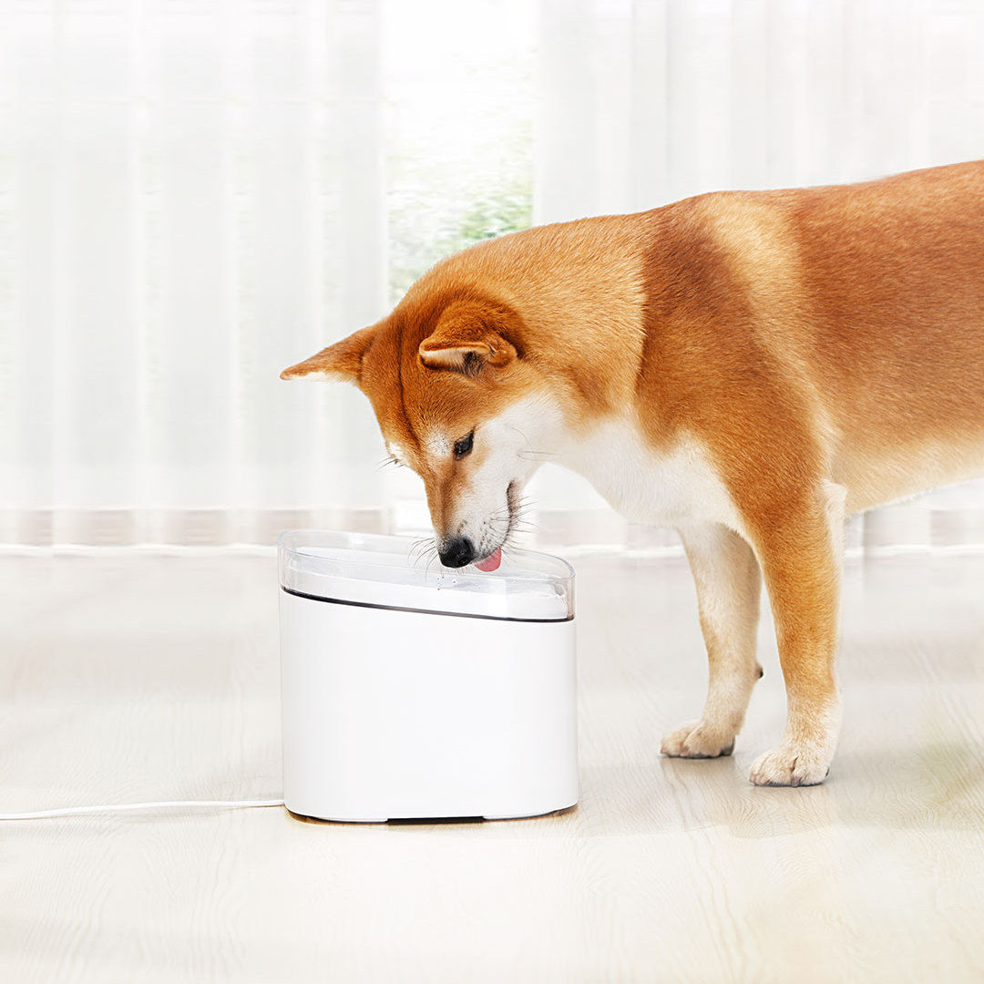 

2L Smart Electric Automatic Filtering Pet Water Dispenser Water Bucket From Xiaomi Youpin Electric Pet Drinking Bowl Fountain Automatic Cat Living Water
