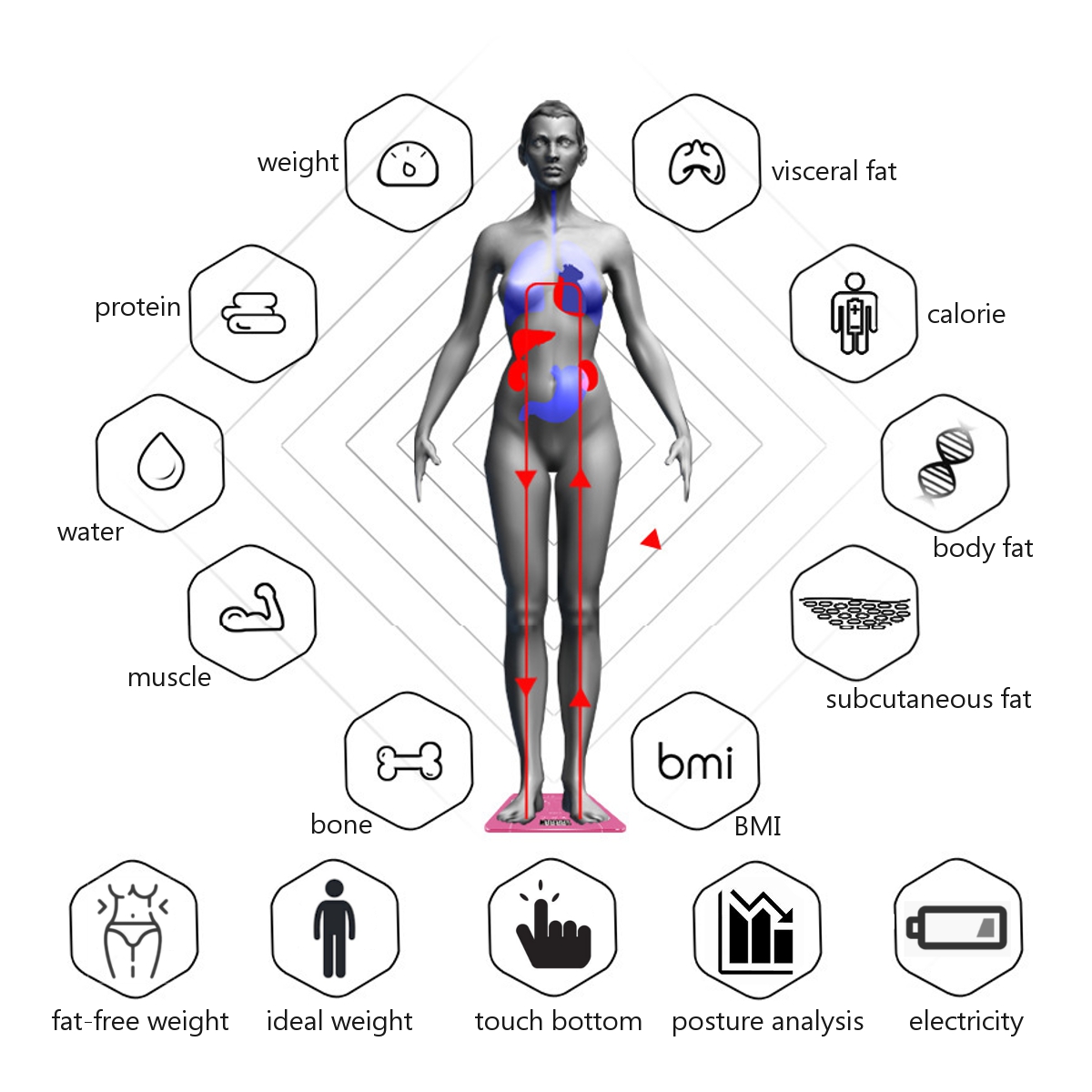 Исследования тела человека. Исследование состава тела человека. Анализатор массы тела. Анализ тела. Биоимпедансное исследование.