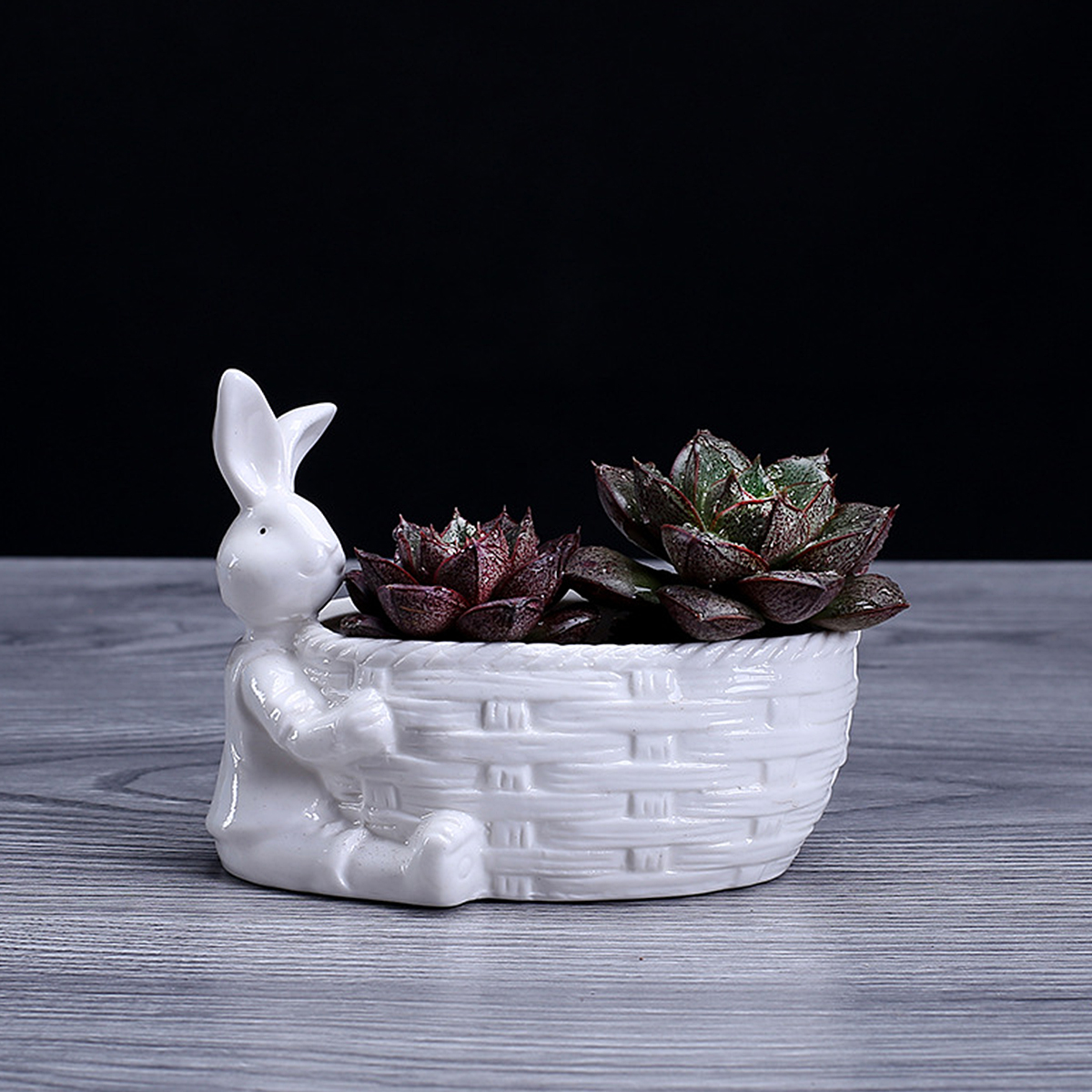 

Rabbit Basket Shape Pot Succulent Planter Herb Flower Gardening Box Case Decor