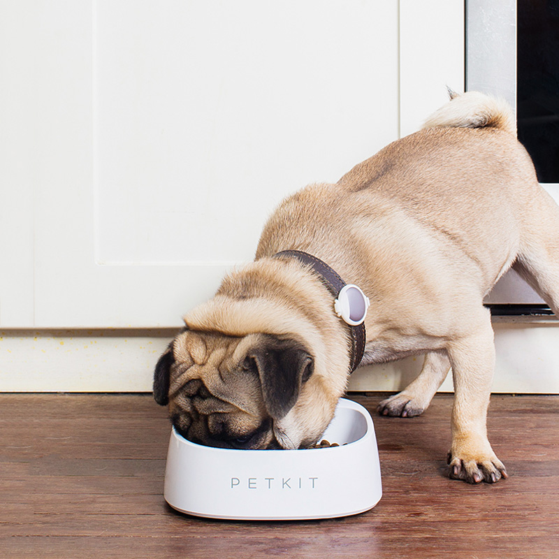 

PETKIT 450ML Pet Smart Weighing Food Storage Bowl From XIAOMI Youpin Dog