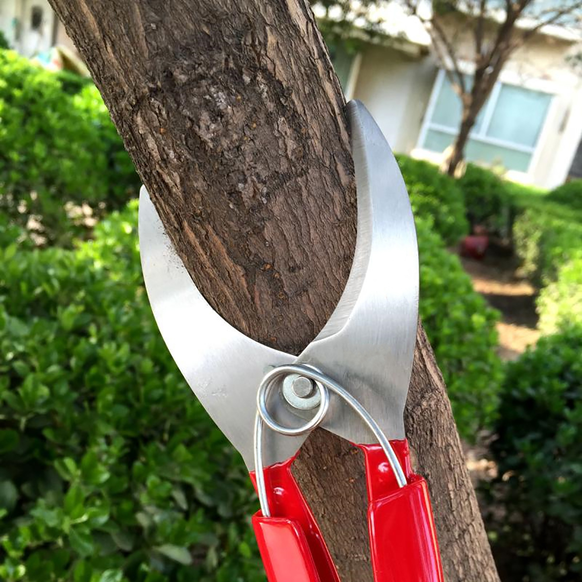 Купить ножницы для деревьев