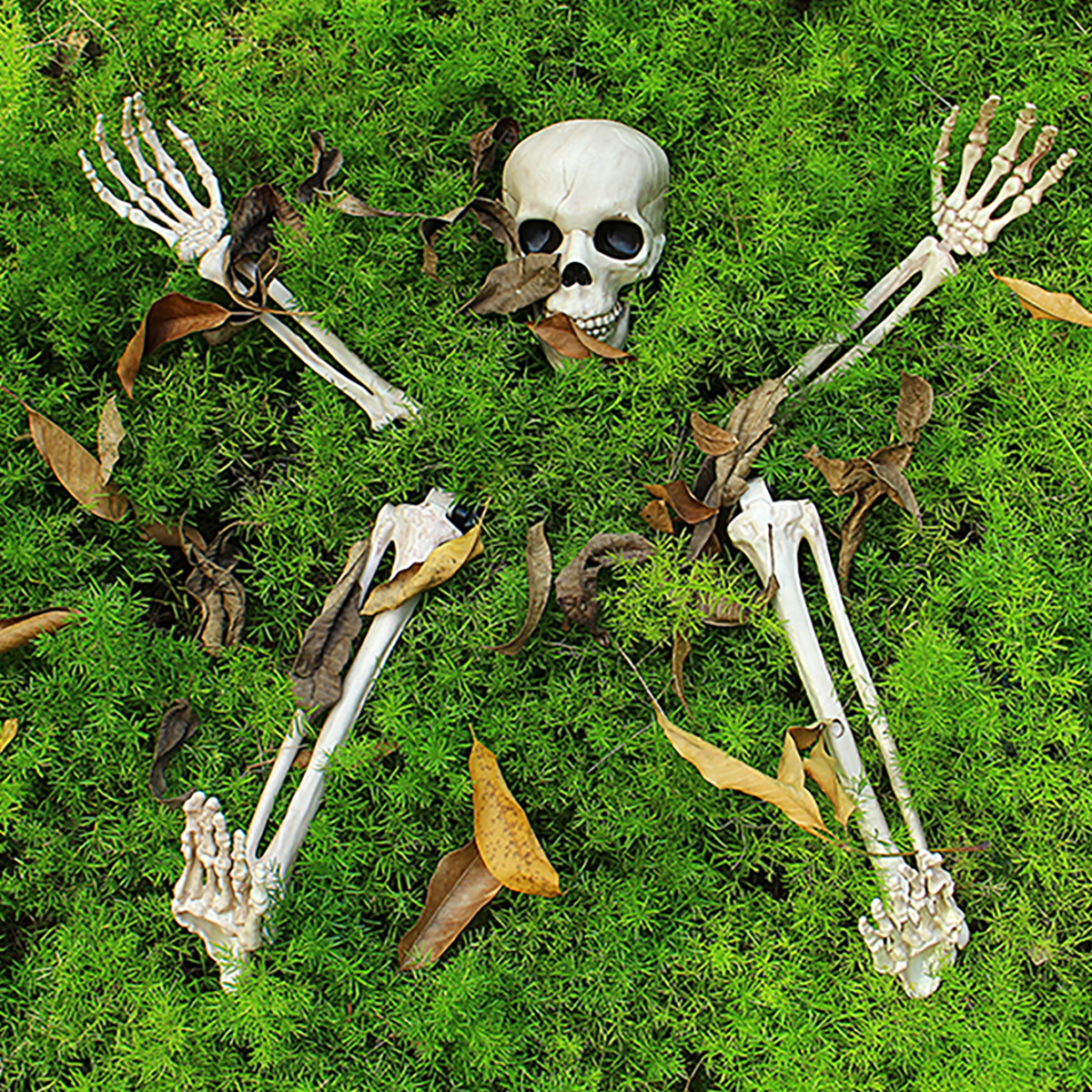 

Halloween Scary Horror Skeleton Decorations Head Bones Skull Hand Outdoor Prop Party