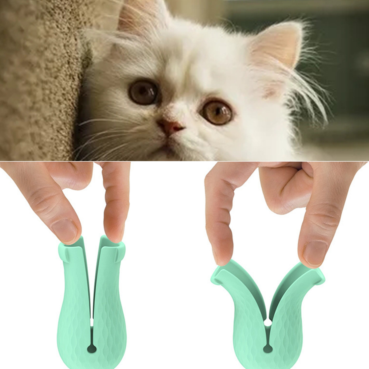 Резиновая рука для кота