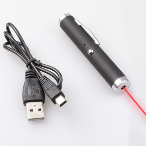 Указка usb. Лазерная указка 3 в 1 с USB зарядкой. Лазерная указка с USB зарядкой Argus. Laser Pointer USB. Лазерная указка USB Egg.