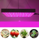 AC85-265V 60W 289 LED Grow Light Lámpara de cultivo para plantas de Veg Flower Indoor