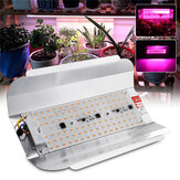 Espectro completo 50W 100W LED Planta Proyector de luz de inundación para cultivo de flores al aire libre Interior Lámpara AC220V