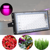 50W Luz de cultivo LED de espectro completo interior, a prueba de agua IP66 para plantas, flores, vegetales, lámpara de crecimiento de bulbos