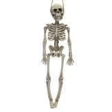 Halloween Party Decoração para casa Esqueleto Horrid Scare Scene Simulation Body Body Body Props