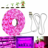 1M/2M/3M/4M/5M 2835 Full Spectrum LED Grow Light Phyto Lamps for Plants Flowers Greenhouses Hydroponic DC5V