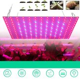 169/81 LED Pianta coltiva luce a spettro completo Indoor Veg Flower Hydroponic lampada 85-265V