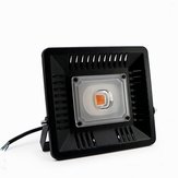 AC170-300V 50W Teljes Spektrumú Ultravékony Vízálló Növényi Növekedési LED Flóder Fény Beltéri Kültéri