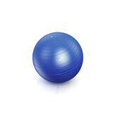Balle souple de Pilates et de yoga de 55 cm de diamètre, outil d'exercice de fitness et d'exercice de base + pompe à air