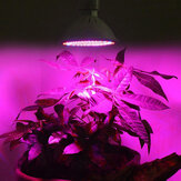 Luz de crecimiento LED E27 100W 260LED espectro completo Lámpara para plantas para semillas de flores