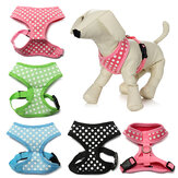 Pet Dog Cat Polka Dots Dotted Adjustable Soft Mesh Harness Net Leash Collar Seperated