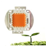 Chip LED Full Spectrum Grow de 20W 30W 50W 30mil para plantas internas DC12-14V