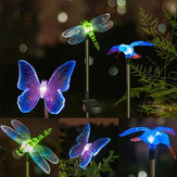 Solar Tier Bunte LED-Licht Gartenlandschaft Dekoration Wasserdichte Lampe