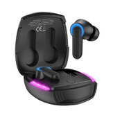 Hoco EW13 TWS Bluetooth 5.1 наушники ENC шумоподавление Драйвер 13 мм светодиодные цветные огни HiFi Стерео-наушники Работа в длительном режиме с микрофоном