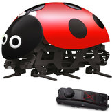 DIY RC Ladybug Toys Assembled Remote Control Simulation With Remote Controller 