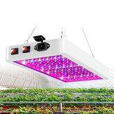 110V~220V 216/312Luz LED para cultivo de plantas Plant Lamp Panel Full Spectrum For Indoor Hydroponic Flower