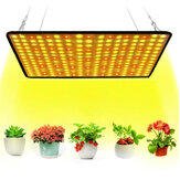 30cmx30cm Spectrum 256LED-Wachstumslicht Wachsende Lampe für Hydroponik-Blume