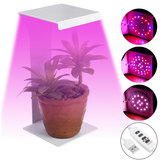 50W Полный спектр светодиодной лампы для выращивания с USB настольным настольным светильником для домашних растений