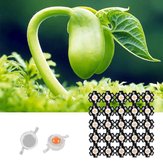 25pcs 3W Full Spectrum LED Grow Chip Light Beads with Aluminum PCB Star for Indoor Plant DC3.2-3.4V