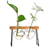 إناء نباتي هيدروبونيك زجاجي إبداعي بشكل قلب خضراء، وعاء نباتي للمنزل والمكتب وتزيين الهواء للمكتب