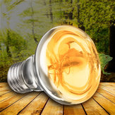 مصباح هالوجين UVA للتدفئة لحيوانات الزواحف بقوة 25/40/50/60/75/100 واط  E27 R63 مستنقع الضوء متر AC220-240V