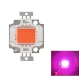 Full Spectrum 10W Pink LED Plant Grow Light Lamp Chip για Garden 9-12V