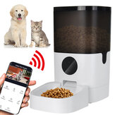 6L WiFi/bluetooth/Video Smart Automatischer Haustierfutterspender mit Timer, APP-Steuerung, Sprachaufzeichnung, für Katzen- und Hundezubehör