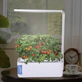 Lâmpada de mesa LED inteligente para hidroponia com kit de jardim interno de ervas, luz multifuncional para o crescimento de flores e vegetais