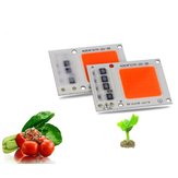 20W 30W Full Spectrum COB Chip LED Rostlinná světla pro vnitřní zeleninovou rostlinu květinovou setí AC220V