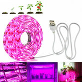 0.5 M / 1M/3M/5 M USB LED taśma do uprawy światła pełne spektrum lampa do uprawy roślin w pomieszczeniach ogrodowych nasiona kwiatów warzyw