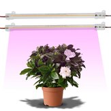 10PCS 30/50cm 7W Lampada LED per la Crescita con Spettro Completo e Guscio Trasparente per Piante da Interno Fiori Idroponica 220V