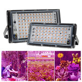 XANES® AC 220V 50/100W Luz LED para cultivo de plantas Espectro completo del crecimiento de las plantas de inundación para flores Plántulas Enchufe EU