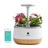 sPlant Smart Fresh Herb Garden Kit Intelligent Indoor Sprout LED Light Garden Four Flower Pot with App Remote Control Self Watering Technology