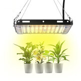 800WフルスペクトルLED植物育成ライト3500K/5500K色温度50個のLEDライトビーズIP66防水温室用屋内盆栽植え込み