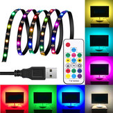 Wasserdichte intelligente USB-LED-Streifenleuchte WS2812 SMD5050 mit 1M 2M 3M und IC-gesteuerter Fernbedienung mit 17 Tasten und 5V Stromversorgung