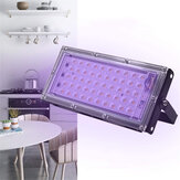 110 / 220V 50W UV LED Germicide Flood Light Stérilisateur à l'ozone IP65 Étanche Maison Cuisine Chambre Bacterium Mite Killer Ultraviolet Hnage Lampe